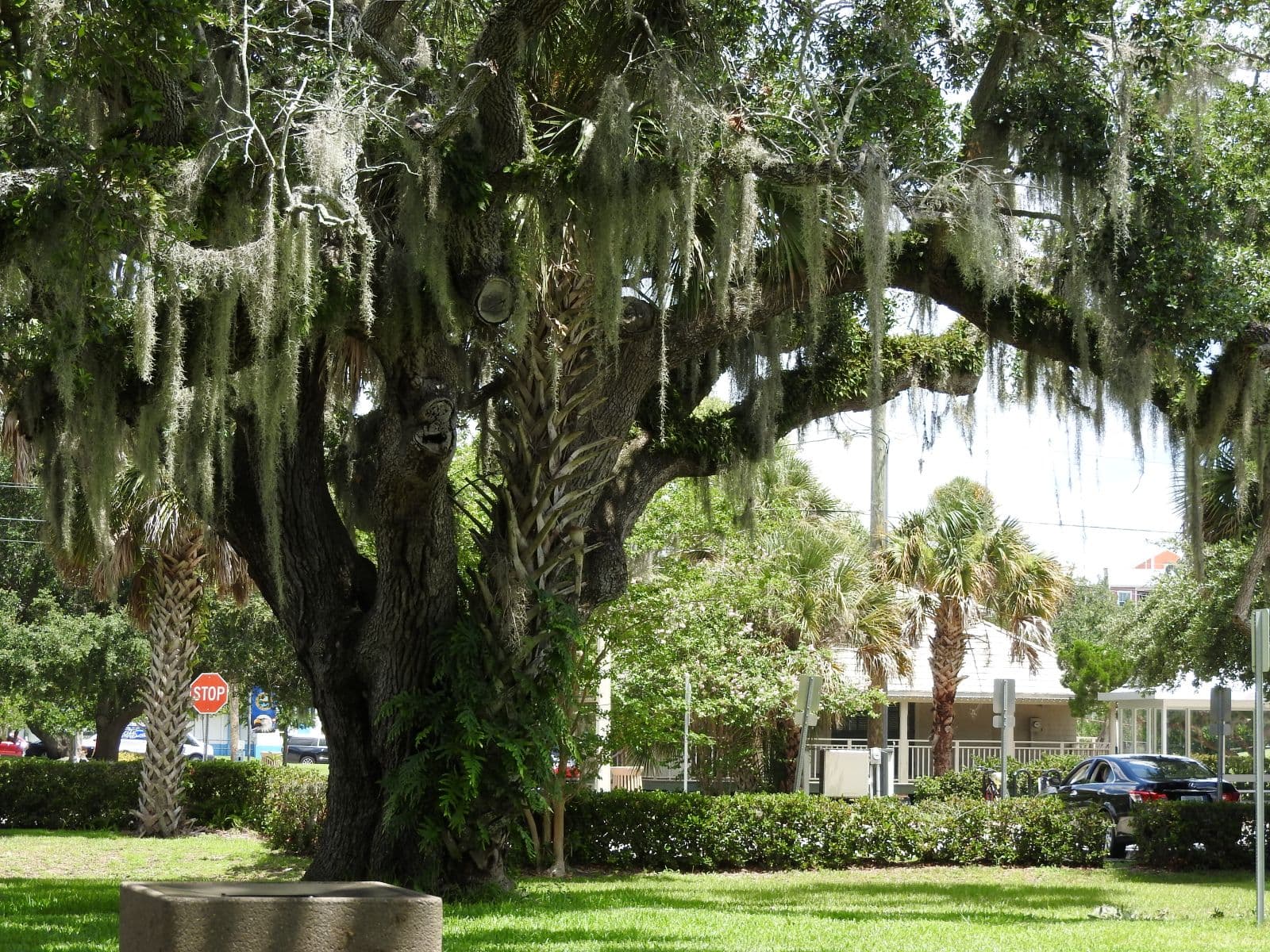 Emory L. Bennett Park photo 3