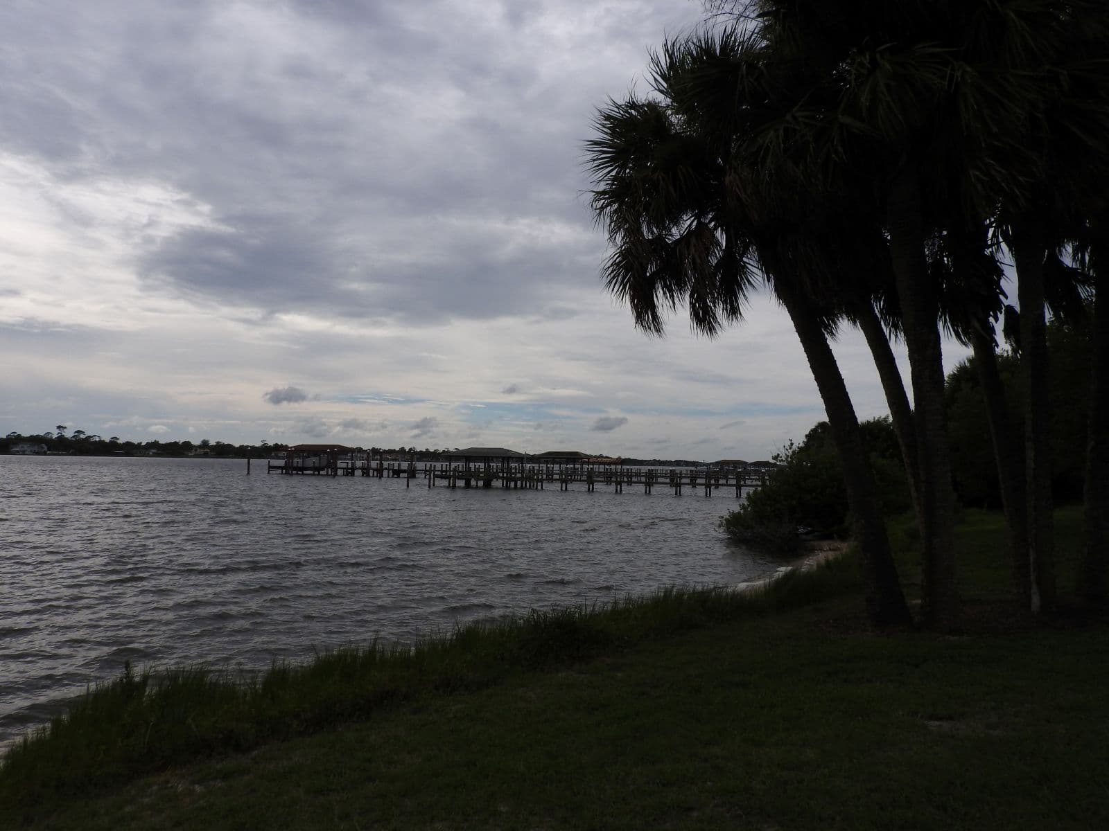 Palm-lined shoreline and docks along the Halifax River at Fortunato Park.