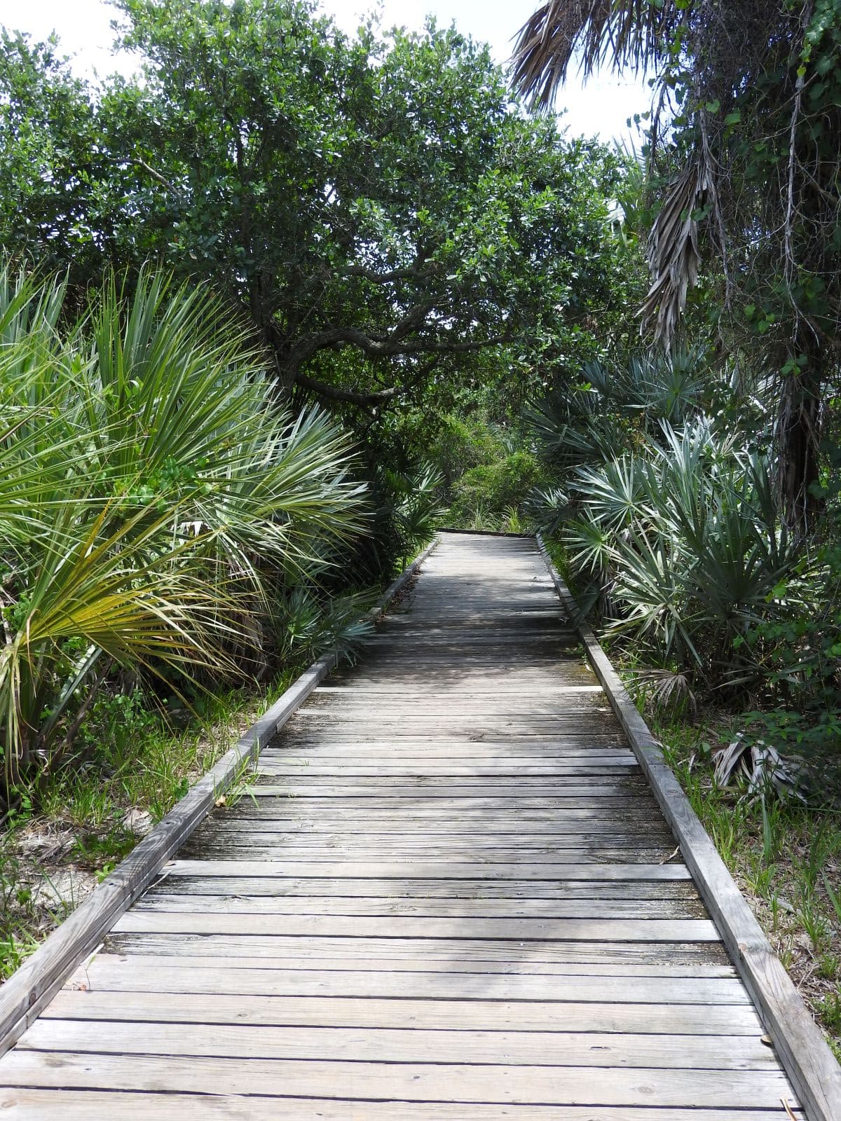 Grayce K. Barck North Beach Community Park photo 3