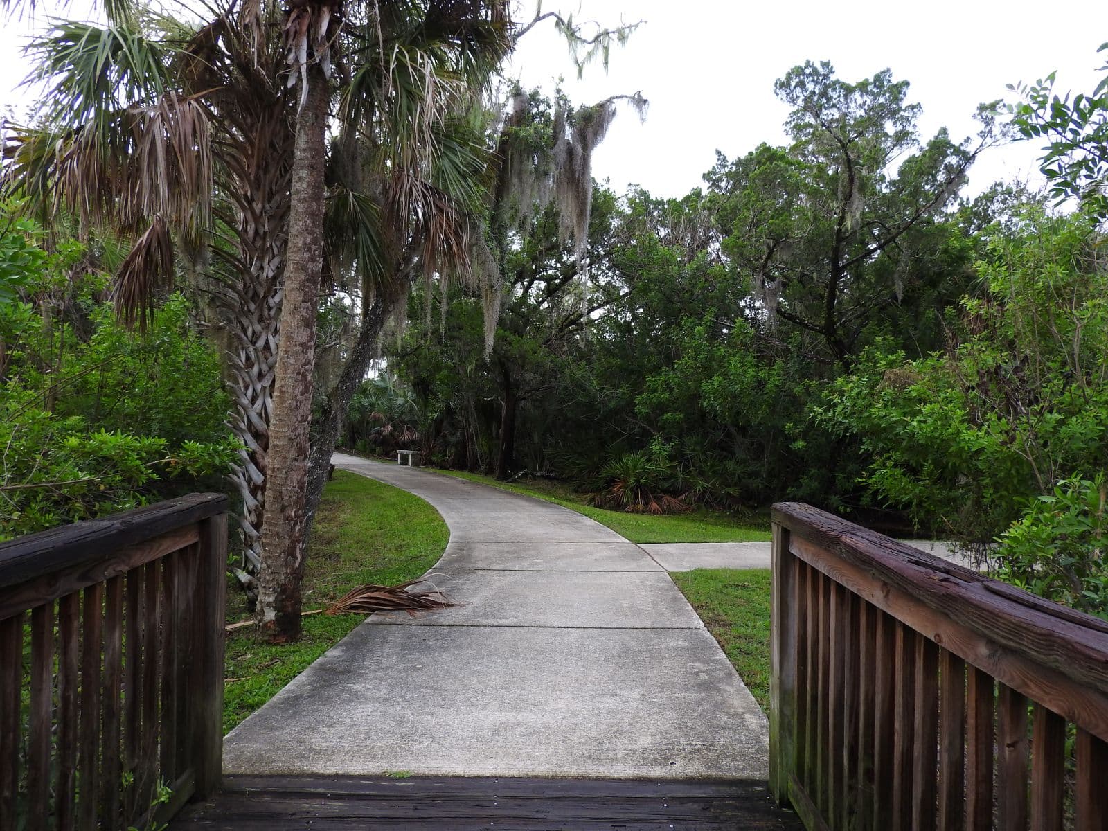 Indian River Lagoon Park photo 2