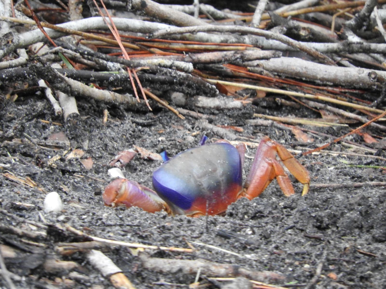 Indian River Lagoon Park photo 3