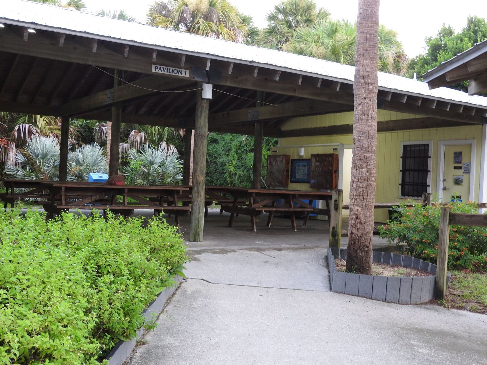 Smyrna Dunes Park boardwalk crossing coastal dune habitat.