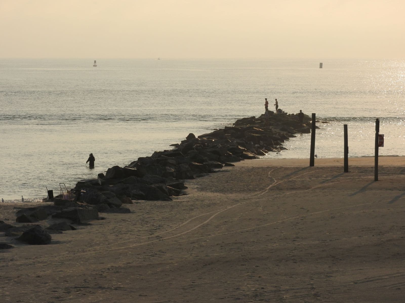 Coastal view from the Smyrna Dunes Park boardwalk.