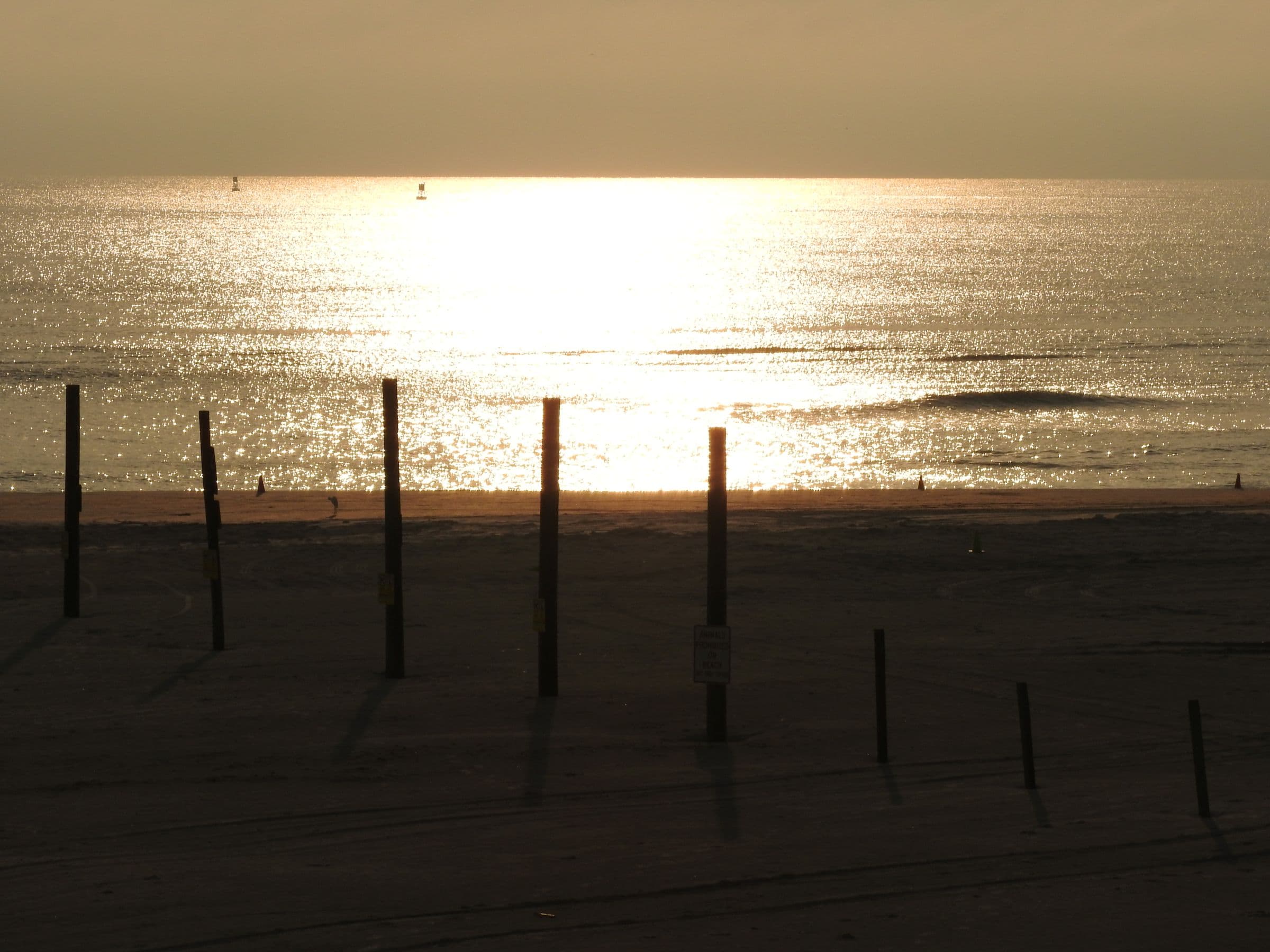 Golden ocean light over the beach at Smyrna Dunes Park.