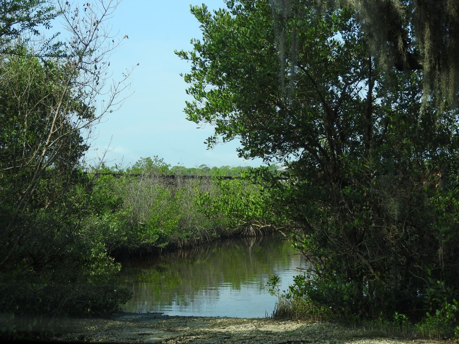 Marsh and water view from Spruce Creek Park.