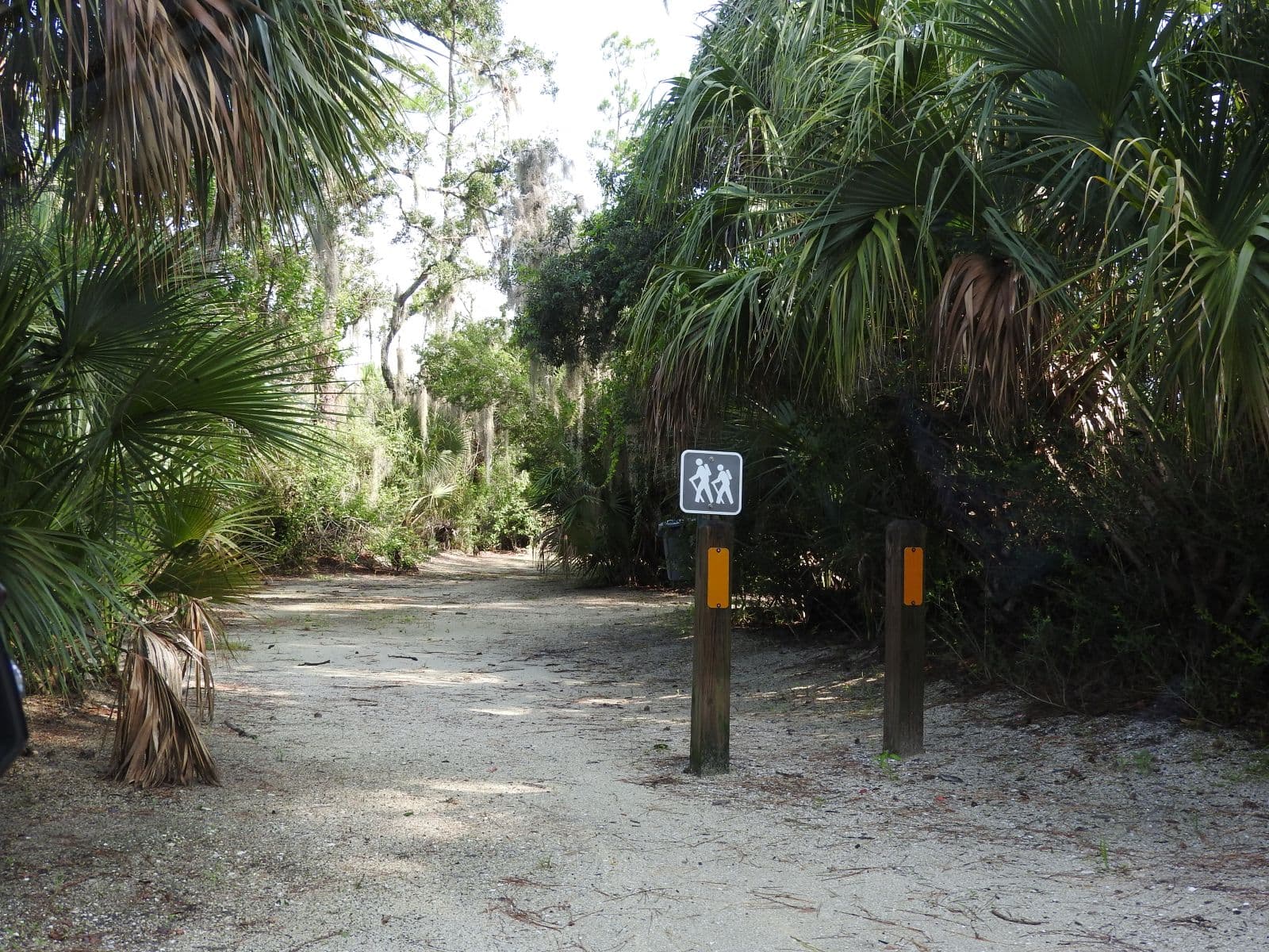 Natural trail and palms at Spruce Creek Park.