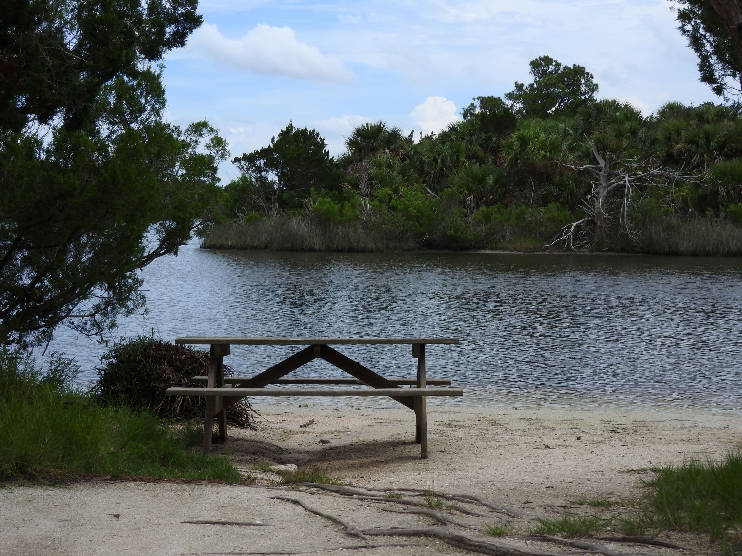 Picnic table at a sandy shoreline overlooking a quiet bend of the Tomoka River.