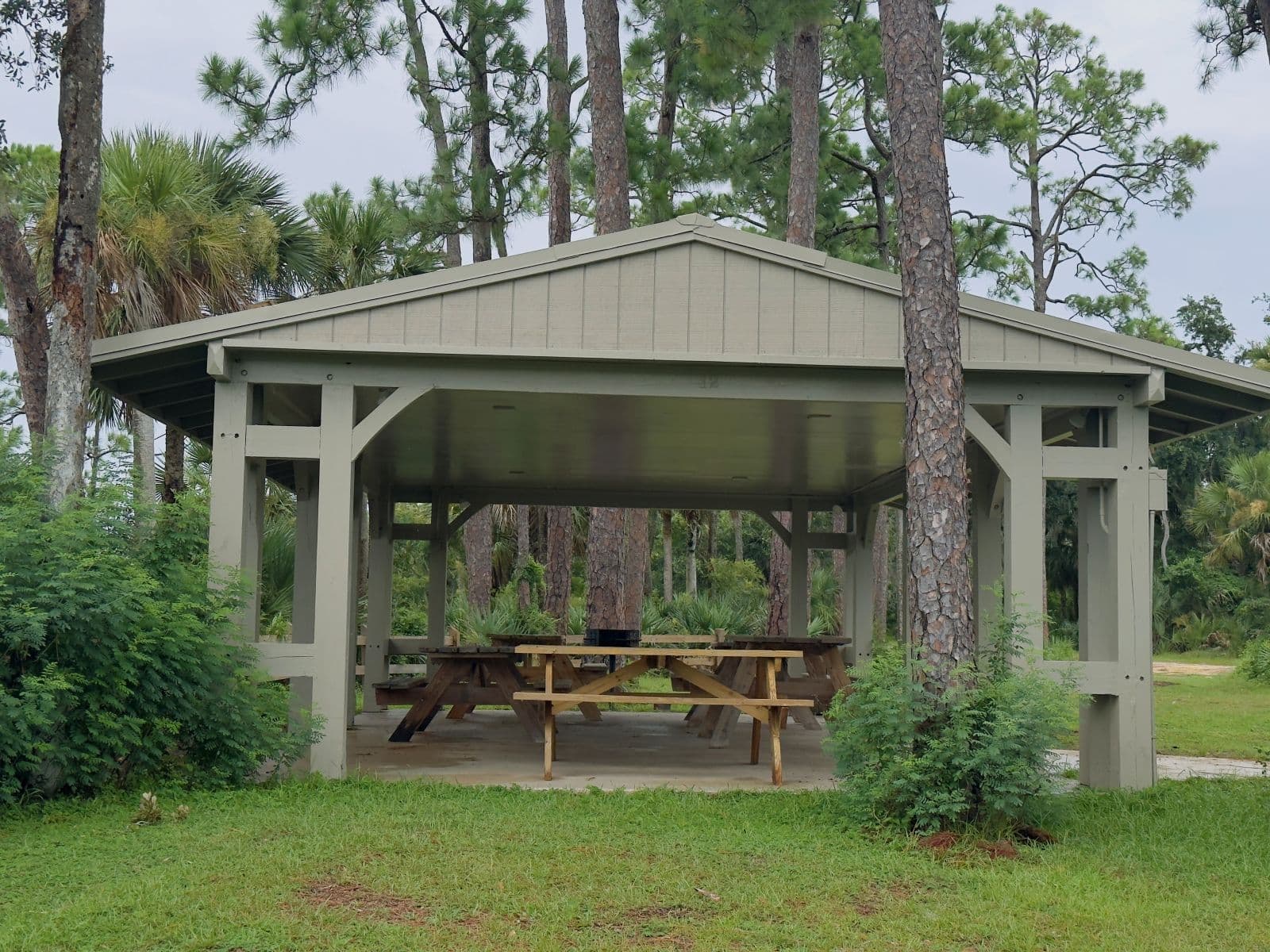 Covered picnic pavilion with tables among pines and palms at Tomoka State Park.