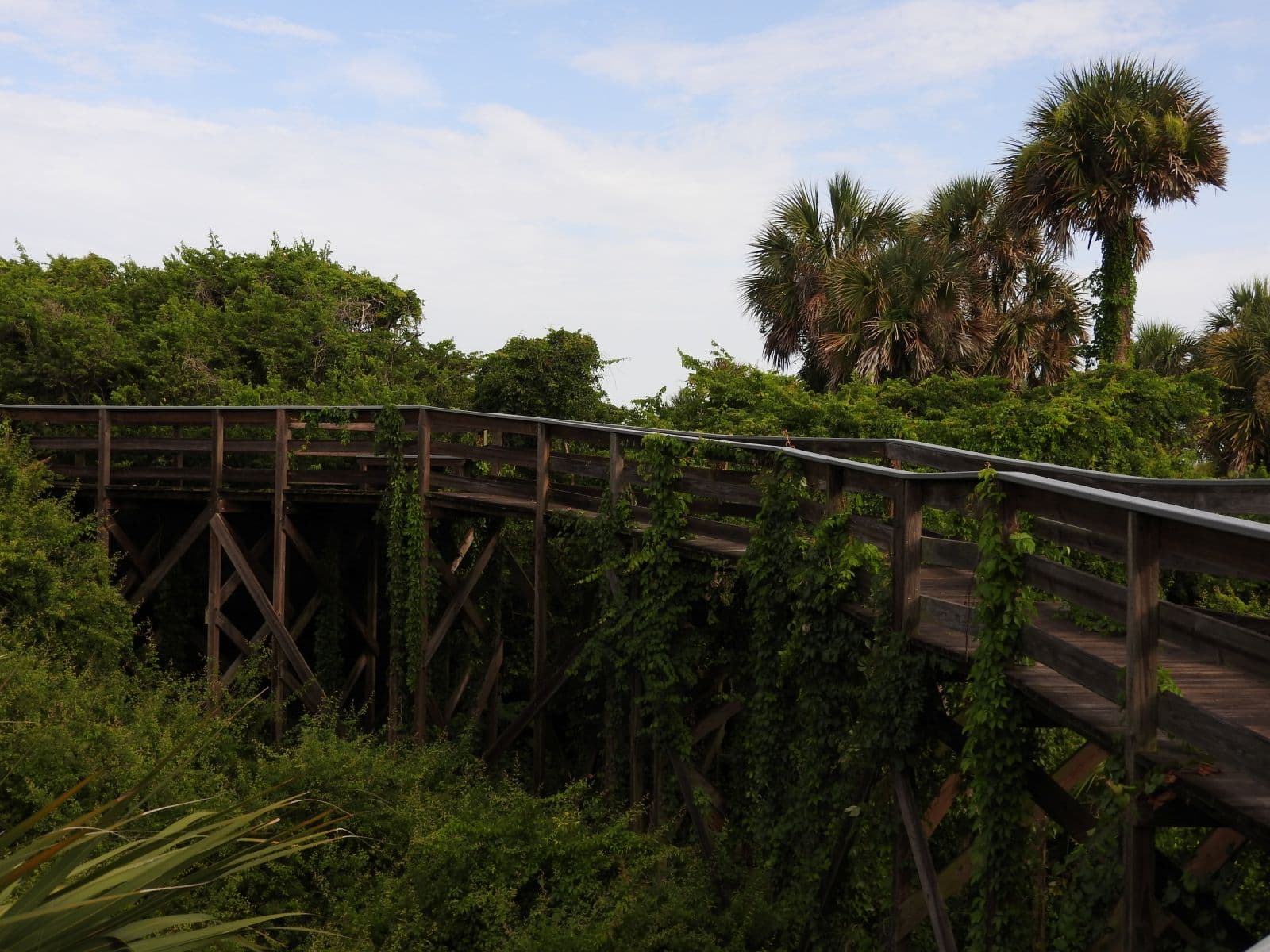 Turtle Mound photo 2